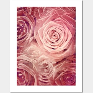 Distressed Roses Posters and Art